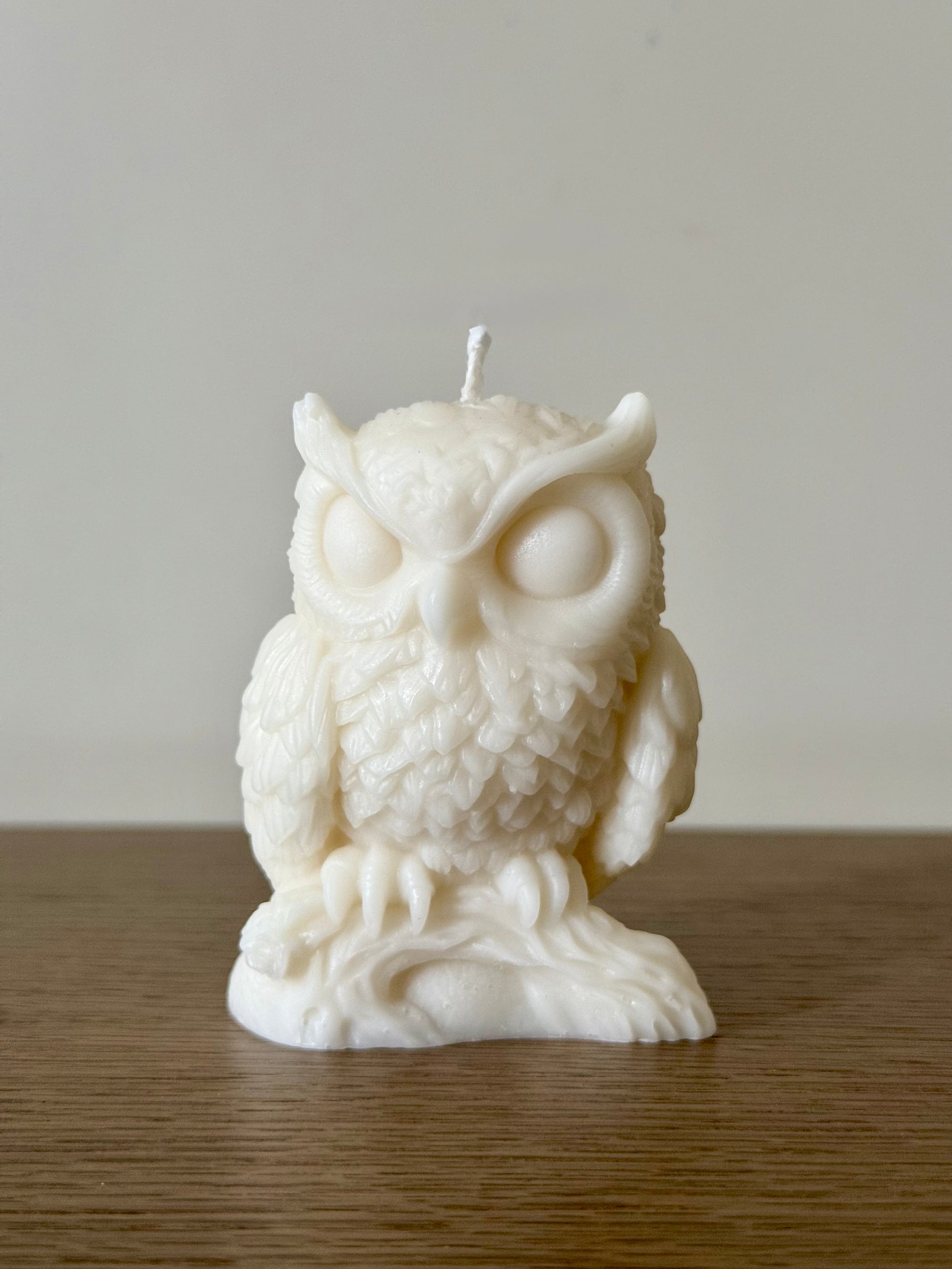 THE WHITE OWL — Inviting prosperity and peace into your space.